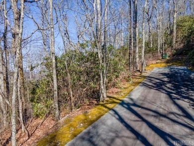Great mountain views from this gently rolling home-site located - photo 7