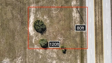 Vacant Residential land in NE Cape Coral also know as gator - photo 8