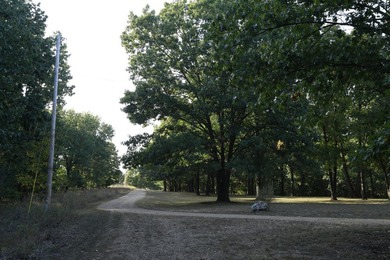 Land For Sale in Near Lake Of The Ozarks MissouriWholesale - photo 8