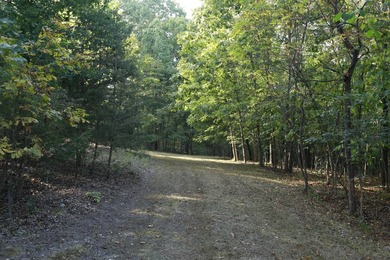 Land For Sale in Near Lake Of The Ozarks MissouriWholesale - photo 9
