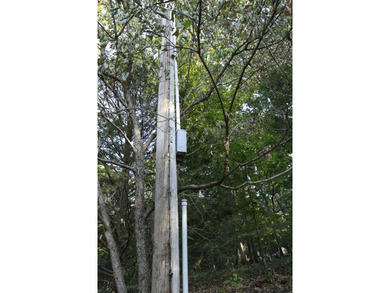 Land For Sale in Near Lake Of The Ozarks MissouriWholesale - photo 10