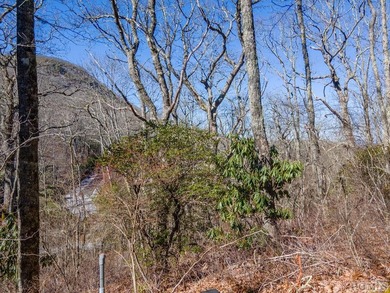 Great mountain views from this gently rolling home-site located - photo 10