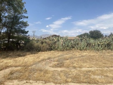 Lake Lot For Sale in Lake Isabella, California