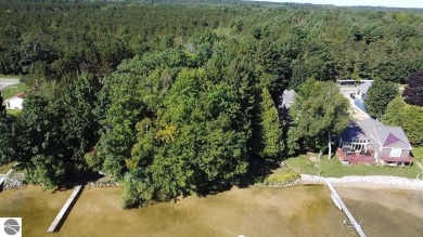 Lake Home For Sale in Bear Lake, Michigan