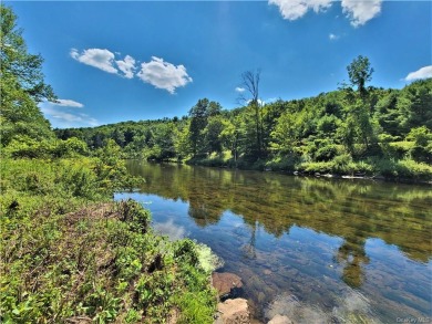 Neversink River Acreage For Sale in Monticello New York
