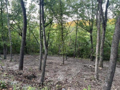 Lake Lot For Sale in Ridgedale, Missouri