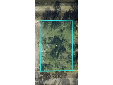 Lehigh Acres Area Lot For Sale in Lehigh Acres Florida