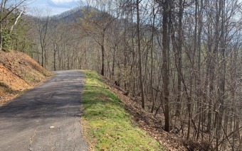 180 DEGREES OF NC MOUNTAIN VIEWS! With a little clearing of - Lake Lot For Sale in Hayesville, North Carolina