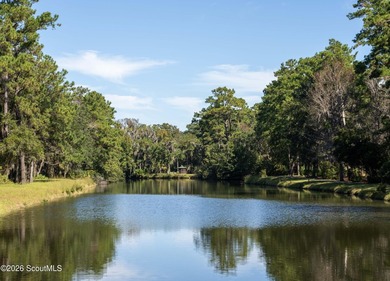 Nestled in the highly sought-after West Point Plantation - photo 42