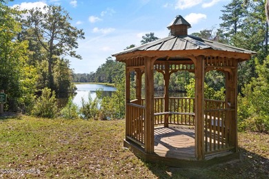 Nestled in the highly sought-after West Point Plantation - photo 43