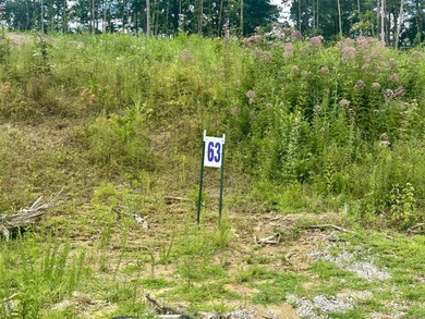 Holly Grove Estates offering nice residential building lots - Lake Lot For Sale in Corbin, Kentucky