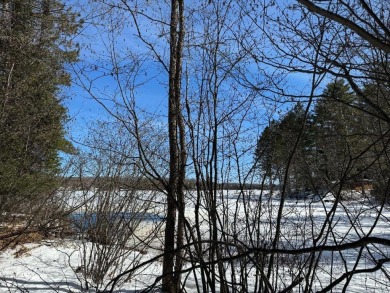Fisher Lake - Iron County Lot Sale Pending in Mercer Wisconsin