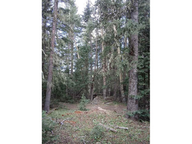 Monte Verde Lake Lot For Sale in Angel Fire New Mexico