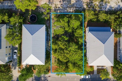 Build your dream coastal retreat in The Preserve at Grayton - photo 2