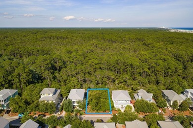 Build your dream coastal retreat in The Preserve at Grayton - photo 3