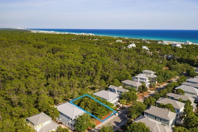 Build your dream coastal retreat in The Preserve at Grayton - photo 5