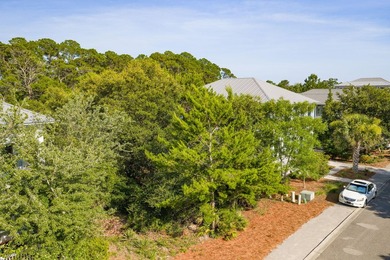 Build your dream coastal retreat in The Preserve at Grayton - photo 6