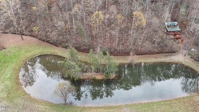 (private lake, pond, creek) Lot Sale Pending in Sevierville Tennessee