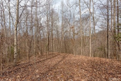 Lake Glenville Acreage For Sale in Glenville North Carolina