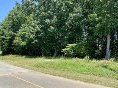 Lake Lot For Sale in Baneberry, Tennessee