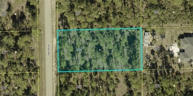 Lehigh Acres Area Lot For Sale in Alva Florida