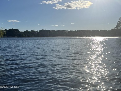 Introducing luxury lakefront living in the Village of Walnut - photo 15