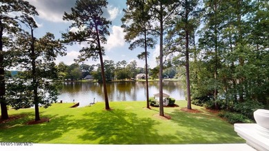 Introducing luxury lakefront living in the Village of Walnut - photo 28
