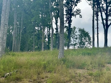 Holly Grove Estates offering nice residential building lots - Lake Lot For Sale in Corbin, Kentucky