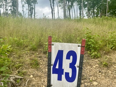 Holly Grove Estates offering nice residential building lots - Lake Lot For Sale in Corbin, Kentucky