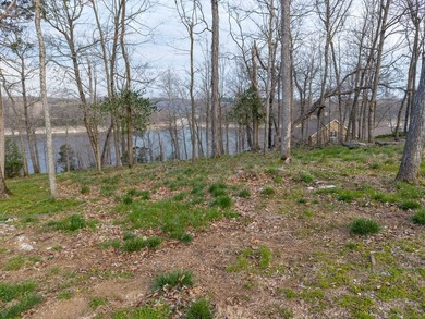 Build your dream home on one of the last available waterfront - photo 3