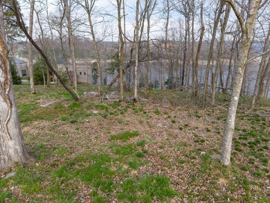 Build your dream home on one of the last available waterfront - photo 4