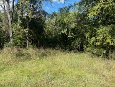 Private Lake access Wooded lots - photo 3