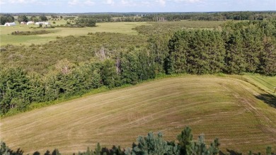 Platte Lake Acreage For Sale in Brainerd Minnesota