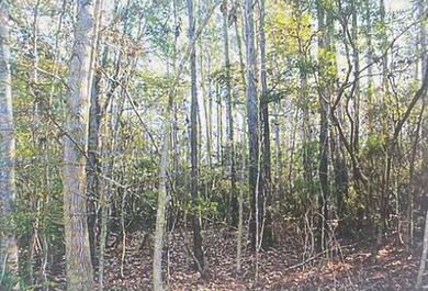 GREAT OPPORTUNITIES FOR DEVELOPER BUILDERS OR LAND INVESTORS - photo 4