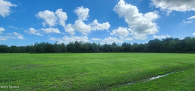 Lake Lot For Sale in Gueydan, Louisiana