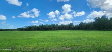 Lake Arthur Lot For Sale in Gueydan Louisiana