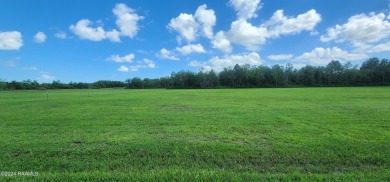 Lake Arthur Lot For Sale in Gueydan Louisiana