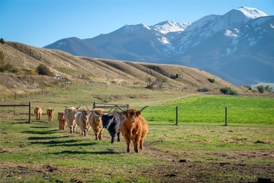 BRING YOUR HORSES to the perfect Lifestyle Ranch in the heart of - photo 4