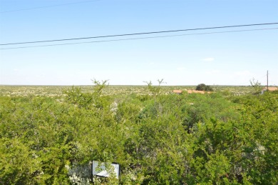 Lake Amistad Lot For Sale in Del Rio Texas