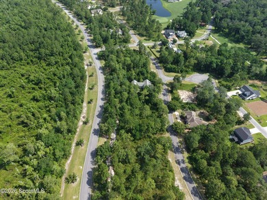 Discover the perfect setting for your custom coastal home on Lot - photo 11