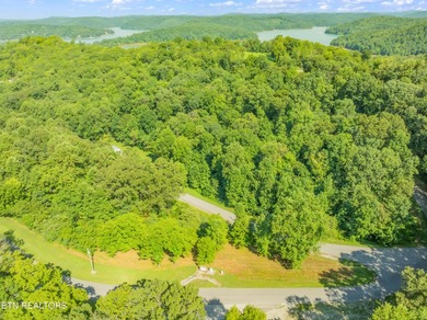 LOTS 1-3 ARE LISTED TOGETHER: MLS #1342868 Nestled in one of - photo 12