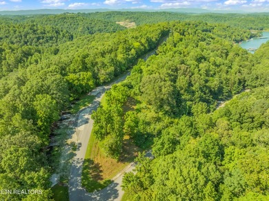 LOTS 1-3 ARE LISTED TOGETHER: MLS #1342868 Nestled in one of - photo 13