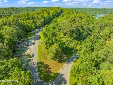 LOTS 1-3 ARE LISTED TOGETHER: MLS #1342868 Nestled in one of - photo 14