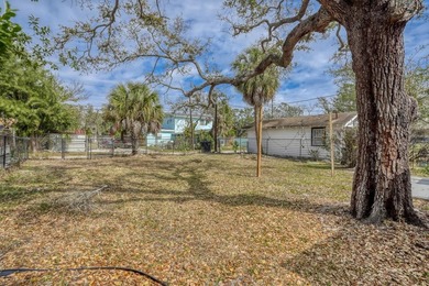 Charming St. Petersburg home located just minutes from Downtown - photo 25