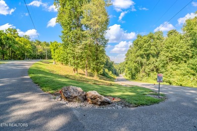 LOTS 1-3 ARE LISTED TOGETHER: MLS #1342868 Nestled in one of - photo 26