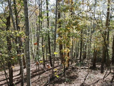 Lake Lot For Sale in Cashiers, North Carolina