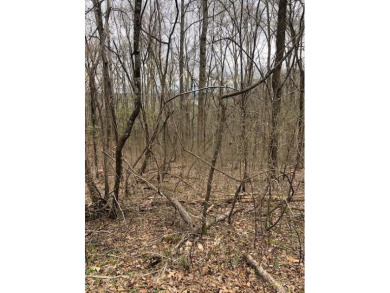Piney River Lot For Sale in Other Tennessee