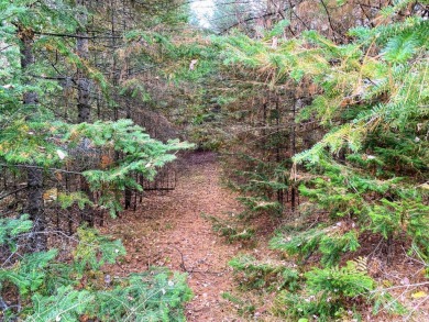North Fork Flambeau River Acreage Sale Pending in Park Falls Wisconsin