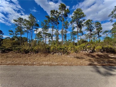 Lehigh Acres Area Lot For Sale in Lehigh Acres Florida