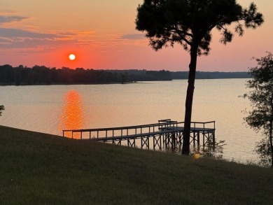 Lake Home For Sale in Milam, Texas